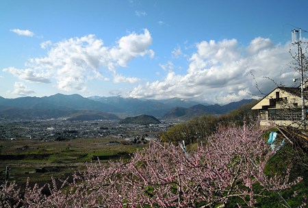 DSCN1733