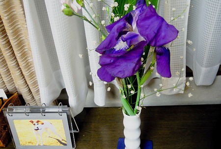 DSCN2085