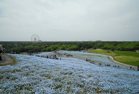 DSCN2823
