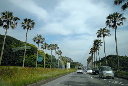 DSCN3023