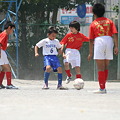 Photos: IMG_7950