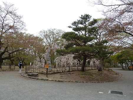 2011甲信 080