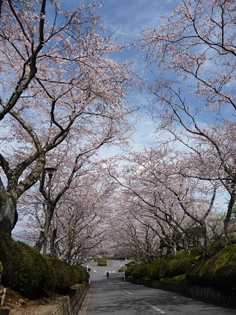 100403-日本平ホテル (6)