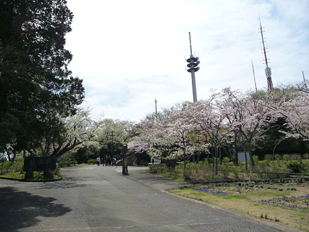 100403-日本平山頂 (5)