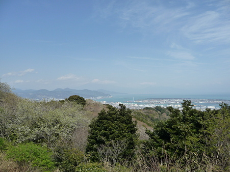 100403-日本平山頂 (15)