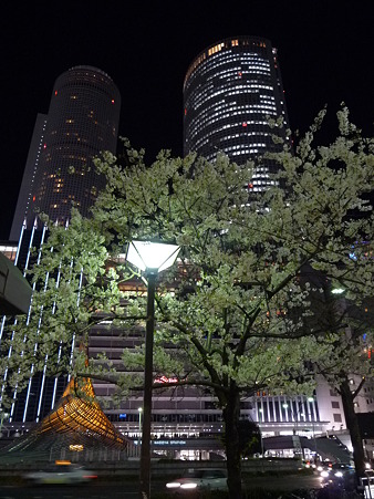 100331-名古屋駅夜景色 (1)