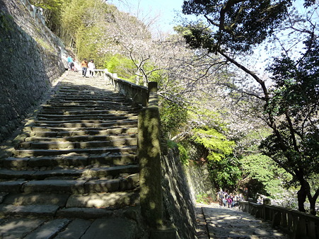 100403-久能山 (147)