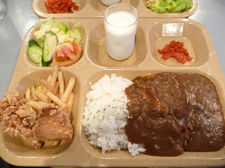 101008-海軍カレー