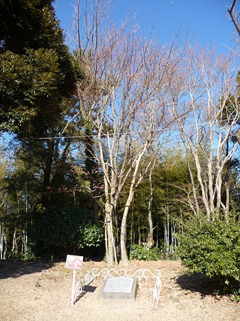 110104-日本平ホテル (14)