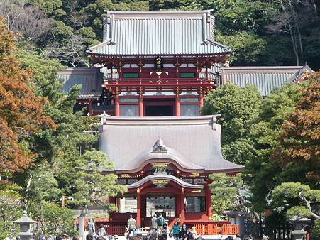110225-鶴岡八幡宮 (29)