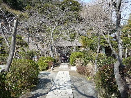 110225-明王院 特別拝観 (8)