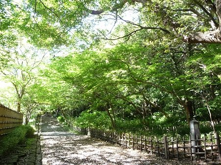 110519-鎌倉文学館 (5)