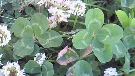 201005080633000