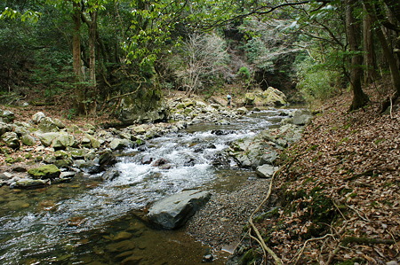 DSC00208