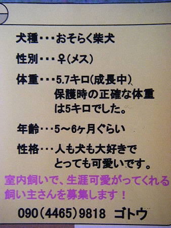 里親募集 (2)