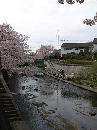 恩田川22