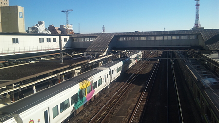 E257系(八王子駅)なぅ