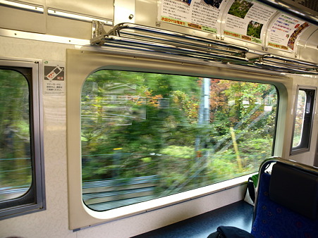 201系快速「四季彩河口湖号」車窓11