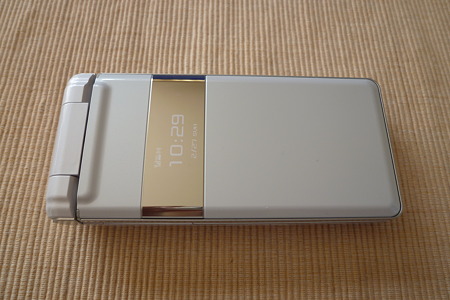 SH010