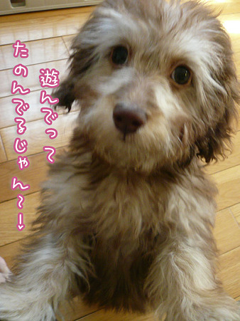 110126 みらく of the day 2