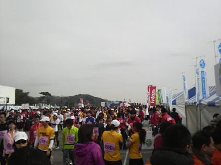 P1001164