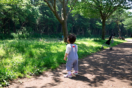 2011.05.19　和泉川　姫　キジバト発見