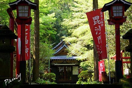 箱根 駒形神社・・2