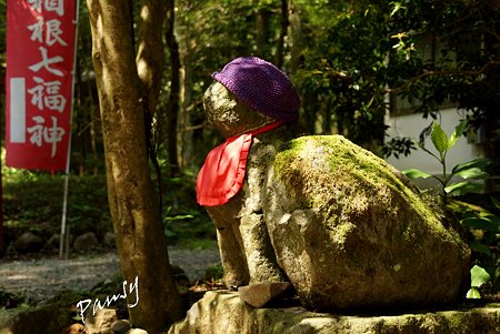 犬塚明神の狛犬・・箱根 駒形神社・・5