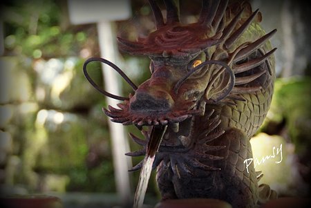 箱根神社・・5
