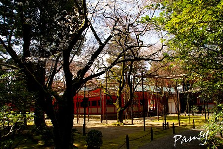 平安神宮神苑にて・・9