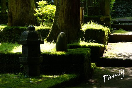 水無月の光と・・