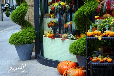 ハロウィーンのかぼちゃたち・・花屋さんで・・