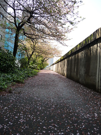 P1030353