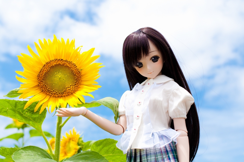 クリックで拡大します