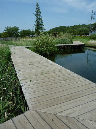P1090046