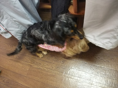 乗る・・・
