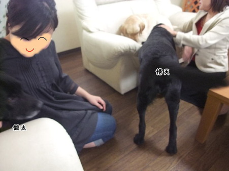 やはり主役より目立とうとする2頭