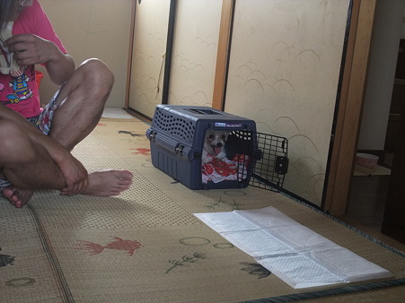 ハウス依存ちっくなモカ