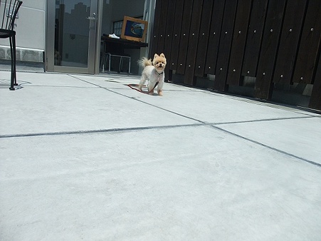 人がしゃがむと