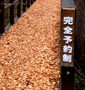 クリックで拡大 P1100307