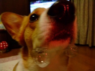 2010_03280010
