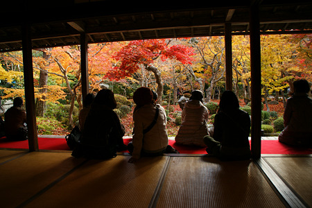 額縁の紅葉風景、円光寺!(101123)