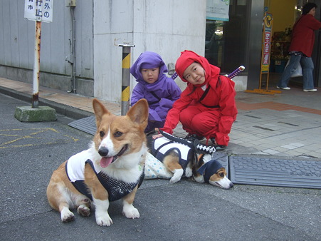 DSCF4755