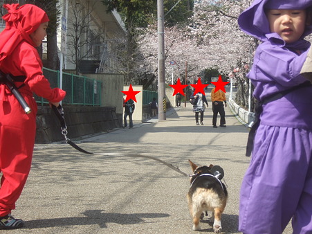 DSCF4763修正