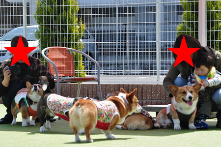 DSC_0133修正