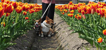 DSC_0394修正