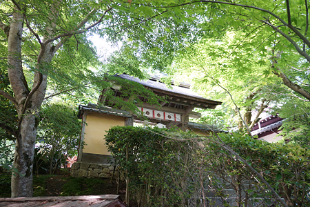 寂光院 - 06