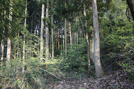 加地城 - 01