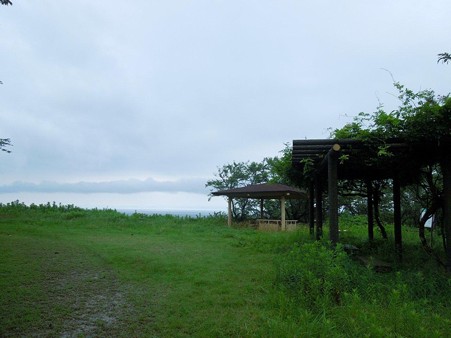 DSCN3626