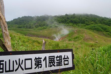 蒸気